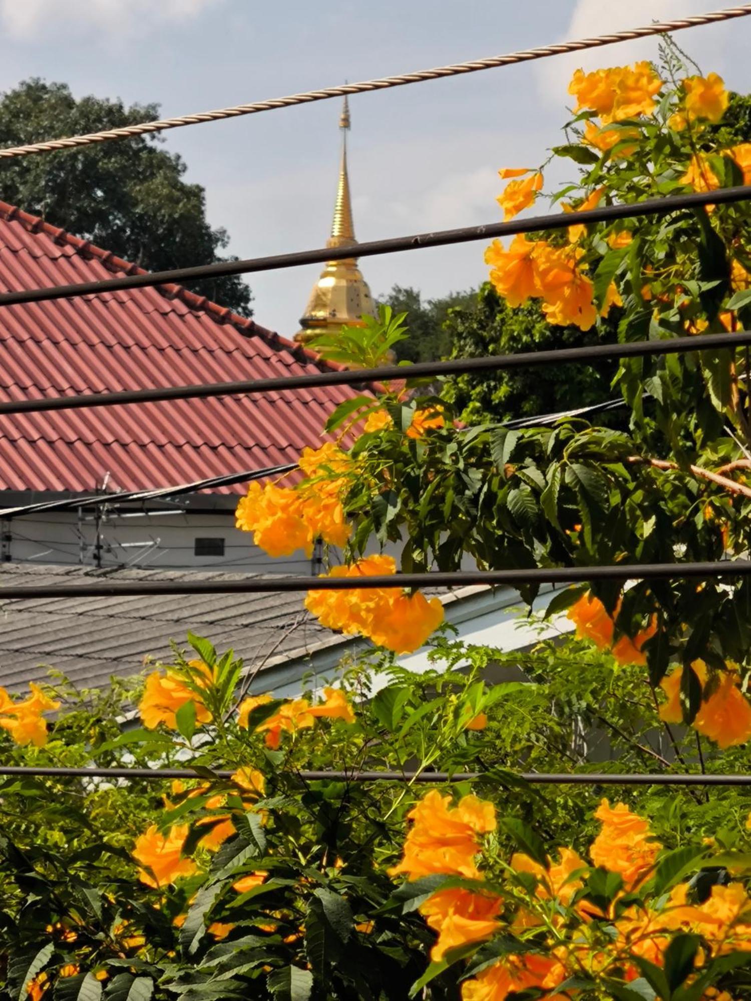 Ratchiangsaen Flora House Otel Chiang Mai Dış mekan fotoğraf